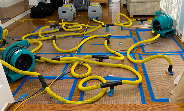 Professional Sewage Cleanup technician working in Canal Winchester, OH